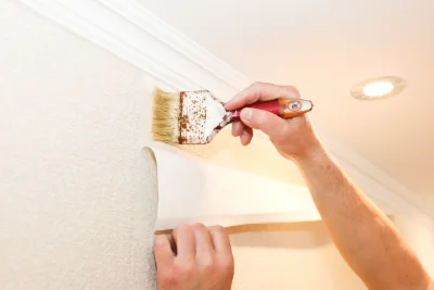 Pose de papier peint à Perrusse — revêtements muraux et toiles de verre